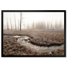 Obraz klasyczny Strumień w lesie we mgle