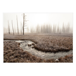 Plakat samoprzylepny Strumień w lesie we mgle