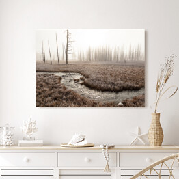 Obraz na płótnie Strumień w lesie we mgle