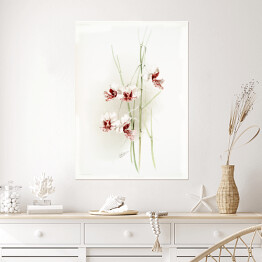 Plakat F. Sander Orchidea no 12. Reprodukcja