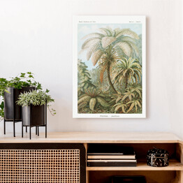 Obraz na płótnie Palma w dżungli Krajobraz vintage Ernst Haeckel Reprodukcja obrazu