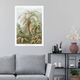 Plakat samoprzylepny Palma w dżungli Krajobraz vintage Ernst Haeckel Reprodukcja obrazu