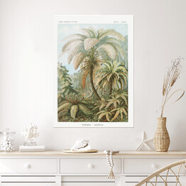 Plakat samoprzylepny Palma w dżungli Krajobraz vintage Ernst Haeckel Reprodukcja obrazu