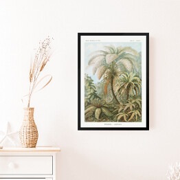 Obraz w ramie Palma w dżungli Krajobraz vintage Ernst Haeckel Reprodukcja obrazu