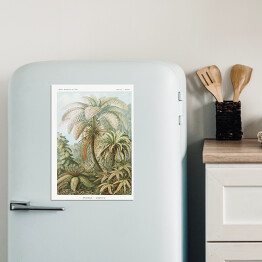 Magnes dekoracyjny Palma w dżungli Krajobraz vintage Ernst Haeckel Reprodukcja obrazu