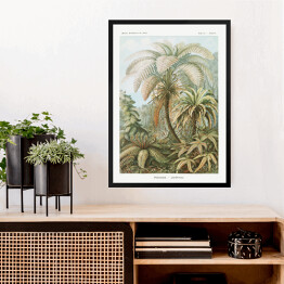 Obraz w ramie Palma w dżungli Krajobraz vintage Ernst Haeckel Reprodukcja obrazu
