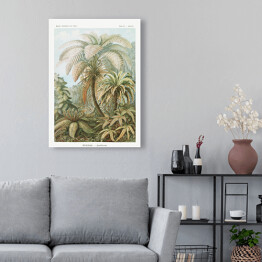 Obraz klasyczny Palma w dżungli Krajobraz vintage Ernst Haeckel Reprodukcja obrazu