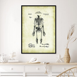 Plakat w ramie C. E. Fleck - ludzka anatomia - ryciny
