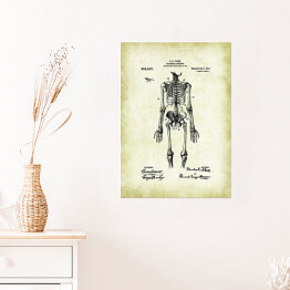 Plakat samoprzylepny C. E. Fleck - ludzka anatomia - ryciny