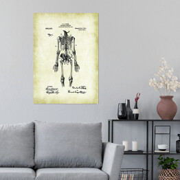 Plakat samoprzylepny C. E. Fleck - ludzka anatomia - ryciny