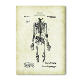 Obraz na płótnie C. E. Fleck - ludzka anatomia - ryciny