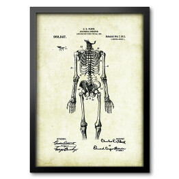 Obraz w ramie C. E. Fleck - ludzka anatomia - ryciny