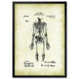 Plakat w ramie C. E. Fleck - ludzka anatomia - ryciny