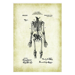 Plakat C. E. Fleck - ludzka anatomia - ryciny