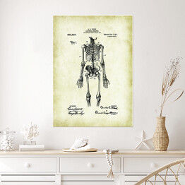 Plakat C. E. Fleck - ludzka anatomia - ryciny