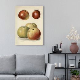 Obraz na płótnie Jabłka ilustracja z napisami John Wright Reprodukcja