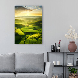 Obraz na płótnie Krajobraz zielone wzgórza Toskanii o poranku