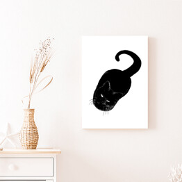 Obraz na płótnie Czarny kot patrzący z wyższością