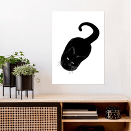 Plakat samoprzylepny Czarny kot patrzący z wyższością