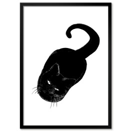 Plakat w ramie Czarny kot patrzący z wyższością