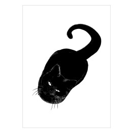 Plakat Czarny kot patrzący z wyższością