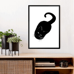 Obraz w ramie Czarny kot patrzący z wyższością