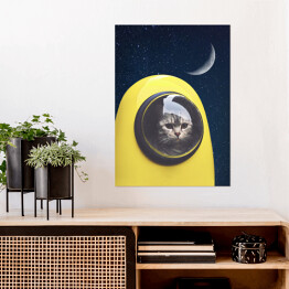 Plakat samoprzylepny Kosmiczny kot 