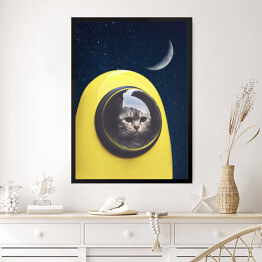 Obraz w ramie Kosmiczny kot 