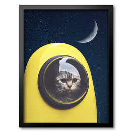 Obraz w ramie Kosmiczny kot 