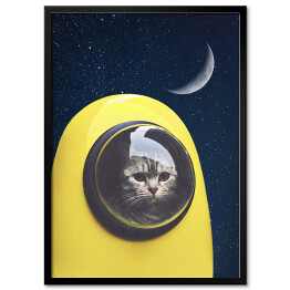 Plakat w ramie Kosmiczny kot 