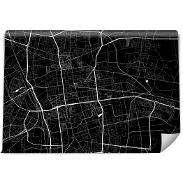 Fototapeta Industrialna mapa Łodzi