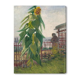 Obraz na płótnie Vincent van Gogh Działka ze Słonecznikiem. Reprodukcja obrazu