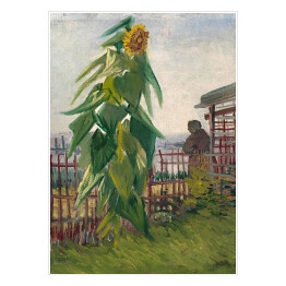 Plakat samoprzylepny Vincent van Gogh Działka ze Słonecznikiem. Reprodukcja obrazu