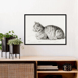 Plakat w ramie Jean Bernard Leżący kot Reprodukcja
