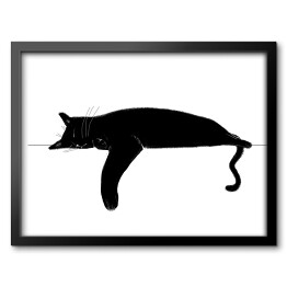 Obraz w ramie Śpiący czarny kotek