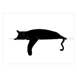 Plakat samoprzylepny Śpiący czarny kotek