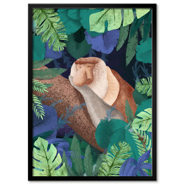 Obraz klasyczny Dżungla - małpa nosacz