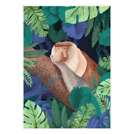 Plakat Dżungla - małpa nosacz