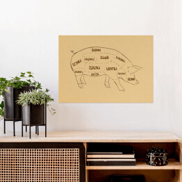 Plakat samoprzylepny Rysunek świni