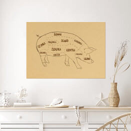 Plakat Rysunek świni