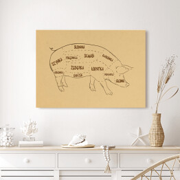 Obraz na płótnie Rysunek świni