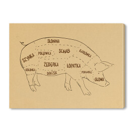 Obraz na płótnie Rysunek świni