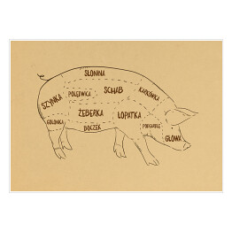 Plakat samoprzylepny Rysunek świni
