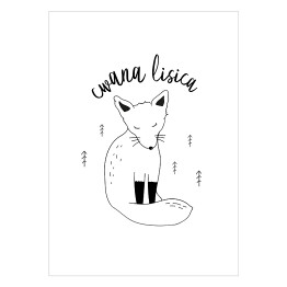 Plakat Cwana lisica - ilustracja