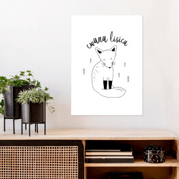 Plakat samoprzylepny Cwana lisica - ilustracja