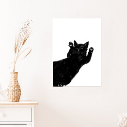 Plakat samoprzylepny Kot leżący na grzbiecie