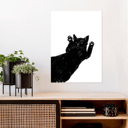 Plakat samoprzylepny Kot leżący na grzbiecie