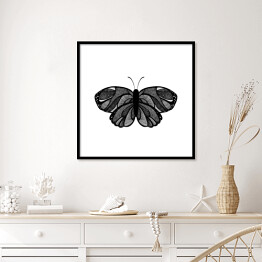 Plakat w ramie Czarny motyl z szarymi elementami na białym tle