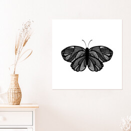 Plakat samoprzylepny Czarny motyl z szarymi elementami na białym tle