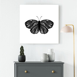 Obraz na płótnie Czarny motyl z szarymi elementami na białym tle